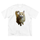 トロールショップの我が家のお猫様が見てます(笑) Big T-Shirt