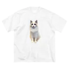 VISgraphicsのSOPO ビッグシルエットTシャツ