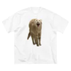 茶トラねこずのあくび猫のシロ ビッグシルエットTシャツ