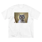 Vegeta_cat22の保護猫ベジータ　神 Big T-Shirt