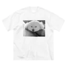 @webgraceのcoco Big T-Shirt