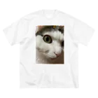 わが家の猫山さん。の猫山さん。はるがきた。 Big T-Shirt