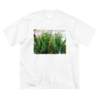 アトリエWindwingのキノコと苔テラリウム Big T-Shirt