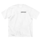 ソロ☠️ゴミ拾い海族団のASHIMOTOKARA Big T-Shirt