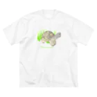 碧野屋のゾウガメ ビッグシルエットTシャツ