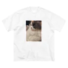 ねこのけづくろいのすまし顔 ビッグシルエットTシャツ