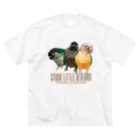 リズさんち🦜👶✨のＪさんちのイケメンウロコーず ビッグシルエットTシャツ