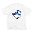 Cody the LovebirdのChubby Bird アオカケス　ブルージェイ ビッグシルエットTシャツ