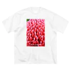 botaniaxのテロペア Big T-Shirt