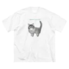 soraのノルウェージャンフォレストキャットのノエル ビッグシルエットTシャツ