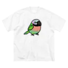 Cody the LovebirdのChubby Bird ダルマインコ（女の子） ビッグシルエットTシャツ