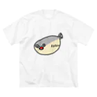 【わみらつほまみら】わみちゃんのサカバンバスピスさん ビッグシルエットTシャツ