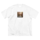 幻想のphotogrammarのヨーロッパの街並み Big T-Shirt