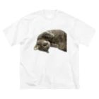 グレージュ猫ロッタン🐈‍⬛のロッタンのリラックスタイム Big T-Shirt