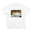 HappyFaceMarketの挑発的なネコ Big T-Shirt