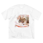 ワンニャンSHOPの可愛い仔猫❤️ ビッグシルエットTシャツ