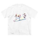 べっち©︎ののんびりフェレットちゃん🐾 ビッグシルエットTシャツ