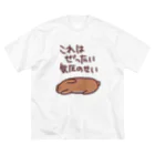 ミナミコアリクイ【のの】の絶対気圧のせい【うさぎ】 ビッグシルエットTシャツ