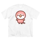 いんこ屋堂のアキクサインコ（ルビノー） ビッグシルエットTシャツ