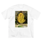 enjoy life shopの安曇野のイチョウの写真グッズ ビッグシルエットTシャツ