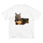 オレはニャン蔵の『猫に小判』オレはニャン蔵 ビッグシルエットTシャツ