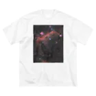 S204_Nanaのカモメ星雲 ビッグシルエットTシャツ