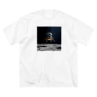 AQUAMETAVERSEの衛星　なでしこ1478 Big T-Shirt