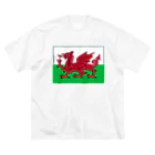お絵かき屋さんのウェールズの旗 ビッグシルエットTシャツ