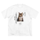 catnip factoryの不満顔の猫 ビッグシルエットTシャツ