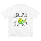 ryuharuのインコのふーちゃん Big T-Shirt