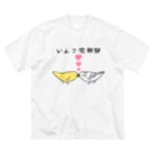 まめるりはことりのセキセイインコいんこ党幹部るちのーはるくいん【まめるりはことり】 Big T-Shirt