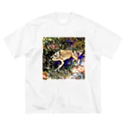 Fantastic FrogのFantastic Frog -Geode Version- ビッグシルエットTシャツ