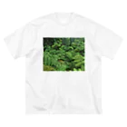 Hironori Murayama photographyのVOLCANO FOREST ビッグシルエットTシャツ