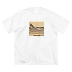 MASSAMAN&Co.のAmerica ビッグシルエットTシャツ