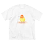 まめるりはことりのコザクラインコ　レイ【まめるりはことり】 Big T-Shirt