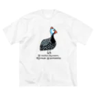 Couleur(クルール)のホロホロ鳥 ビッグシルエットTシャツ