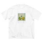 Petrichorのポラロイド　かりん ビッグシルエットTシャツ