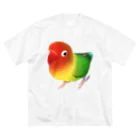 まめるりはことりのボタンインコ　おすましルリゴシボタンインコ【まめるりはことり】 Big T-Shirt