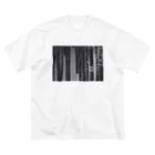 yepstefanieのFILM Big T-Shirt