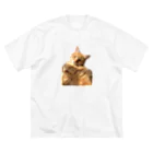 ポラリスのお昼寝茶トラ猫 ビッグシルエットTシャツ