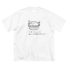 非ユークリッド幾何学を考える kodaisakanaのスターゲイジーパイ Big T-Shirt