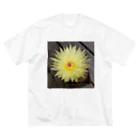 でおきしりぼ子の実験室のサボテンの花 ビッグシルエットTシャツ