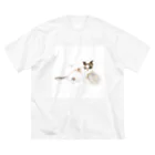 z_happinessのくつろぐ猫 ビッグシルエットTシャツ