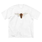 insectech.comのテイオウゼミ ビッグシルエットTシャツ