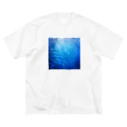 POP&Photoのsardine tornado photo Big T-Shirt