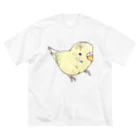 まめるりはことりの可愛いセキセイインコ　おすましちゃん【まめるりはことり】 Big T-Shirt