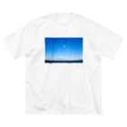 旅先pics📸の松島で飛ぶウミネコ ビッグシルエットTシャツ