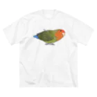 まめるりはことりのおすましコザクラインコ　きなこちゃん【まめるりはことり】 ビッグシルエットTシャツ