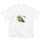 calcalの威嚇桜文鳥 ビッグシルエットTシャツ