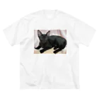 にゃんまるHOUSEの黒猫( ΦωΦ )Uﾕｳ  Big T-Shirt